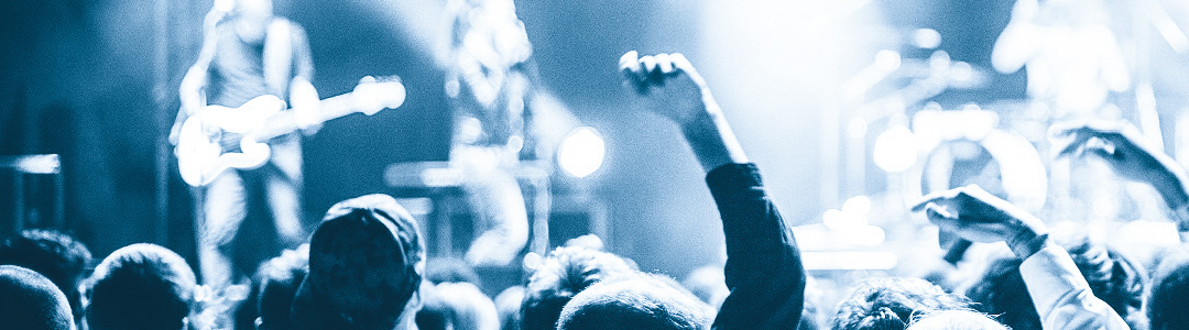 Image with a crowd at a concert representing previous edition of the festival