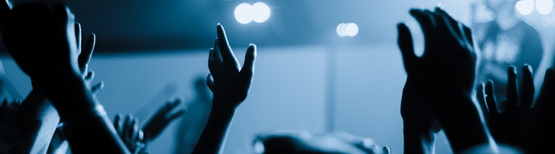 Image with a crowd at a concert representing previous edition of the festival