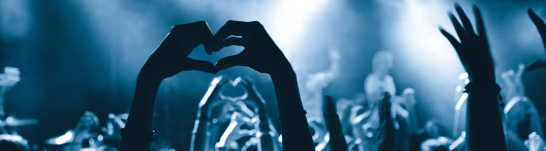 Image with a crowd at a concert representing previous edition of the festival