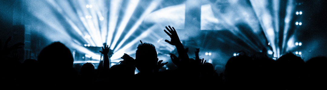 Image with a crowd at a concert representing previous edition of the festival